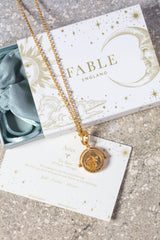 Aries Zodiac Spinner Necklace