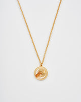 Fox Shadow Guide Necklace