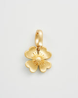 Lucky Clover Charm