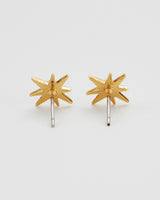 Star Pearl Stud Earrings