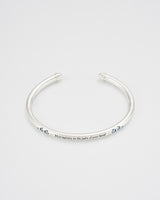 Larkspur Bangle in Silver