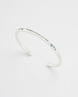Larkspur Bangle in Silver