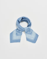 Blue Butterfly Jacquard Scarf
