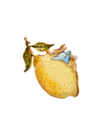 Fable England x Peter Rabbit Lemon Brooch