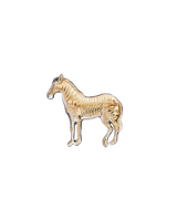 Zebra Brooch