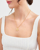 Fox Shadow Guide Necklace