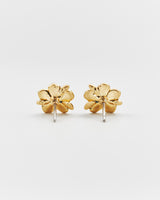 Forget Me Not Stud Earrings