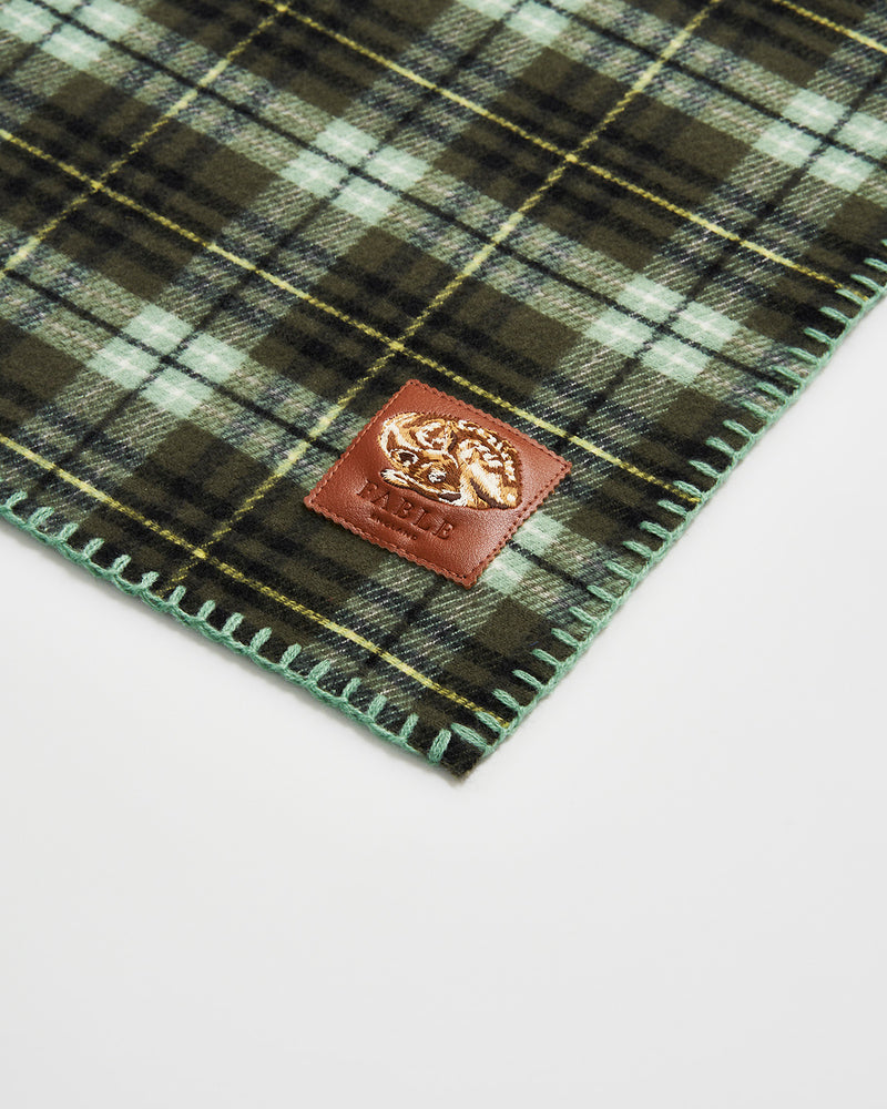 Cathy Green Hooded Scarf