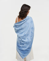 Blue Butterfly Jacquard Scarf