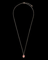 Enamel Ladybird Long Necklace