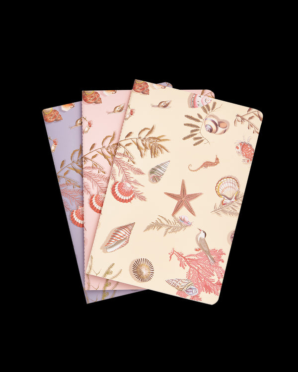 Whispering Sands Notebooks - Pack Of 3