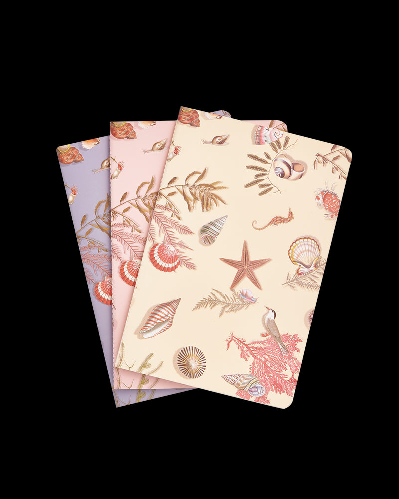 Whispering Sands Notebooks - Pack Of 3